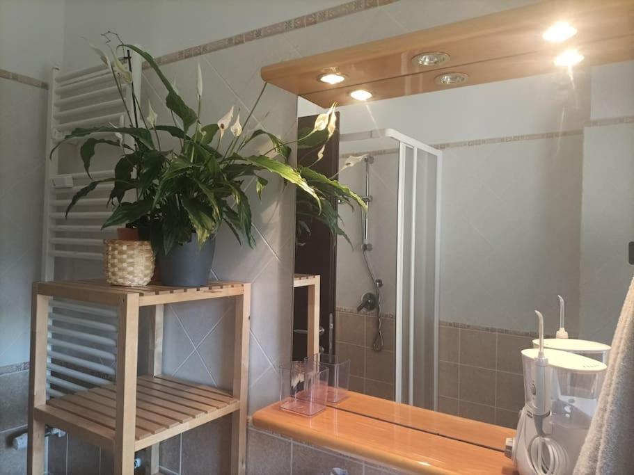 Mia Ginger, Stazione Trastevere Vicinanze Řím Exteriér fotografie